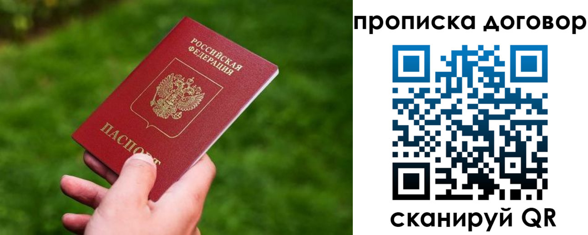 прописка гарантия в Волгодонске